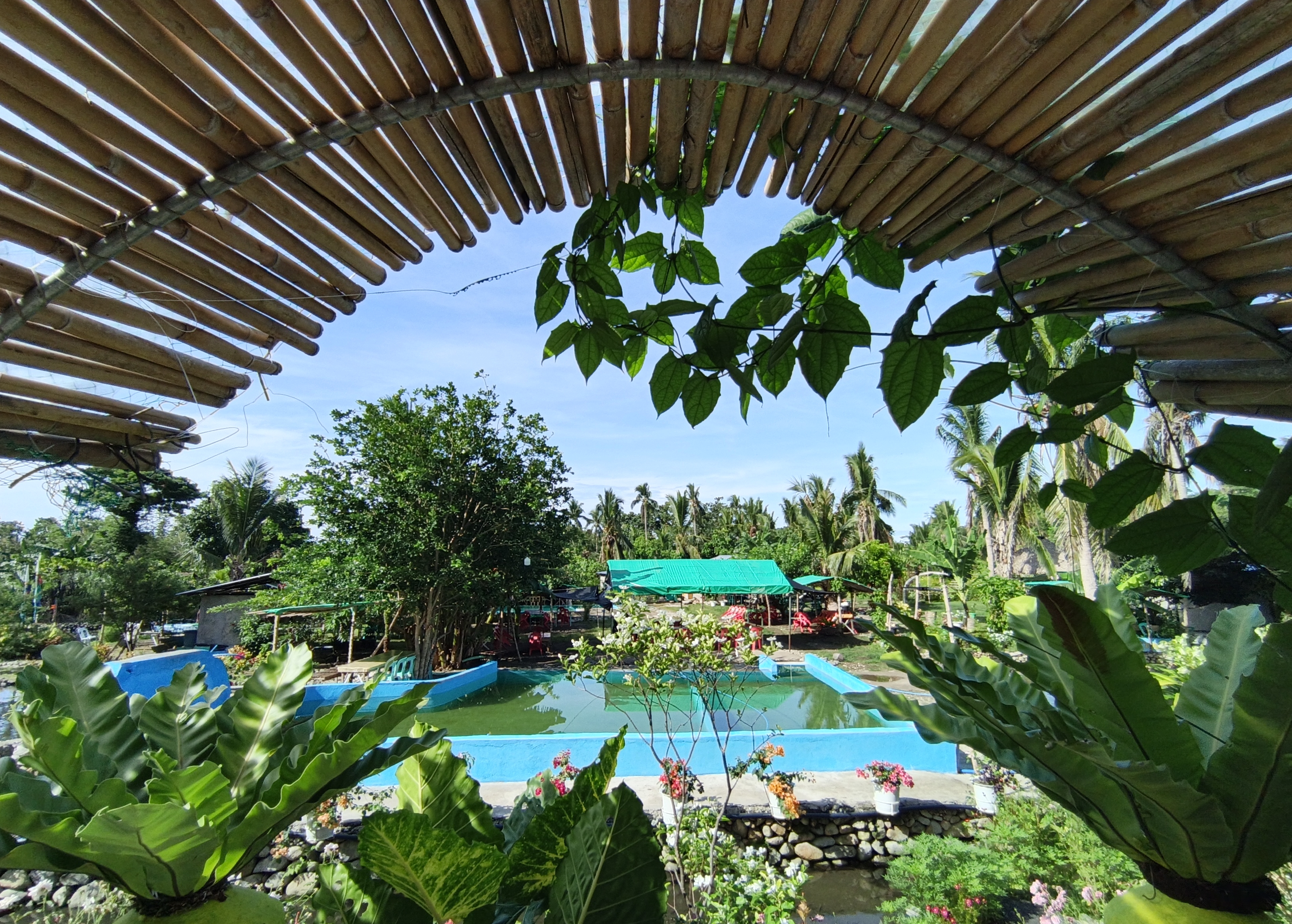 Tanken's Mountain Resort